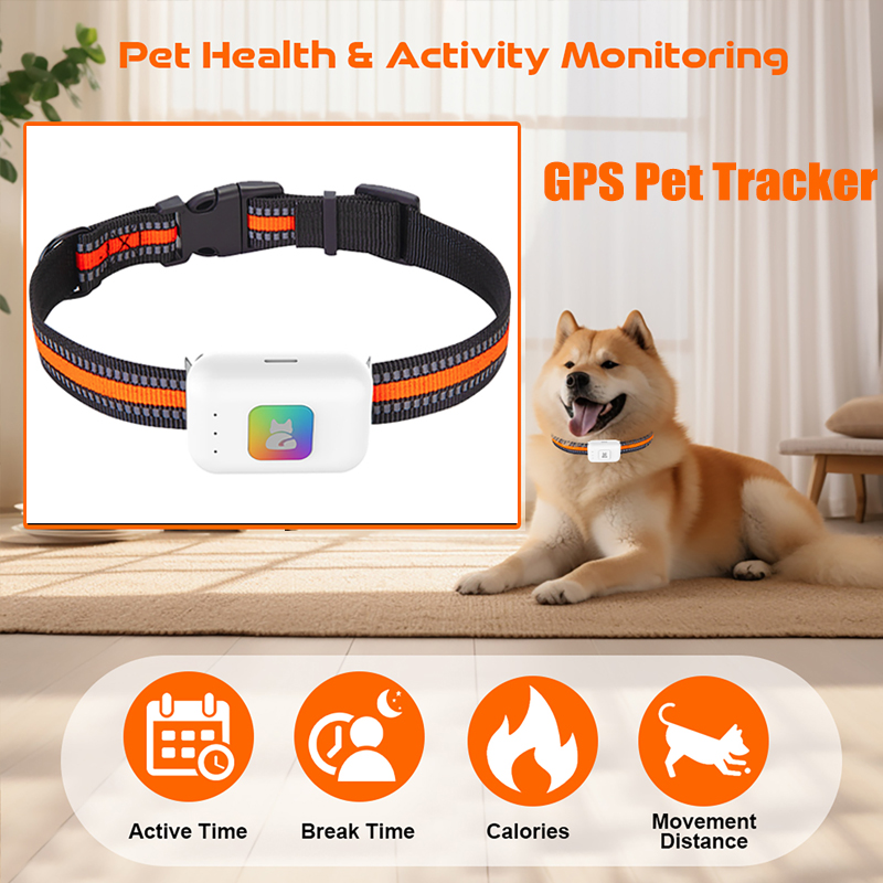 Pet Supplies Discount - Haustier-GPS-AGPS-Tracking-Gerät, 4G, Haustier-GPS-Tracker, Halsband, SOS Geofence,