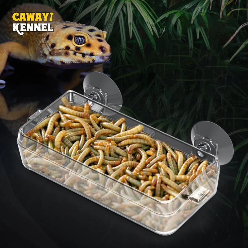 Pet Supplies Is Food - Cawayi Zwinger Haustier Reptil Transparent Feeder