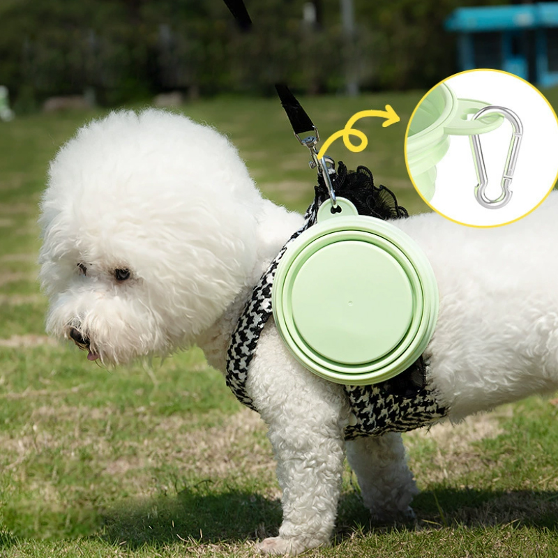 Farbe Haustier Liefert Tragbar – Pet Supplies Is Food Bewertung und Preis