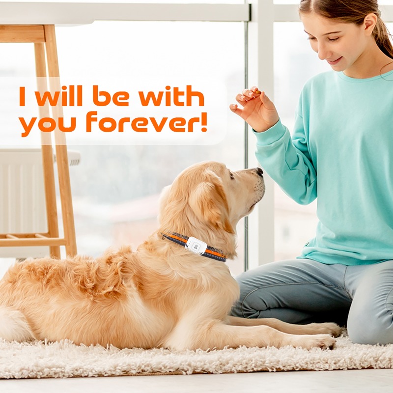 Haustier-GPS-AGPS-Tracking-Ger – Pet Supplies Discount Bewertung und Preis