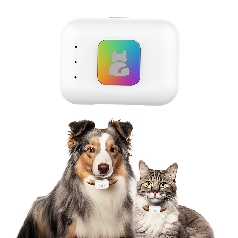 Haustier-GPS-AGPS-Tracking-Ger – Pet Supplies Discount Bewertung und Preis