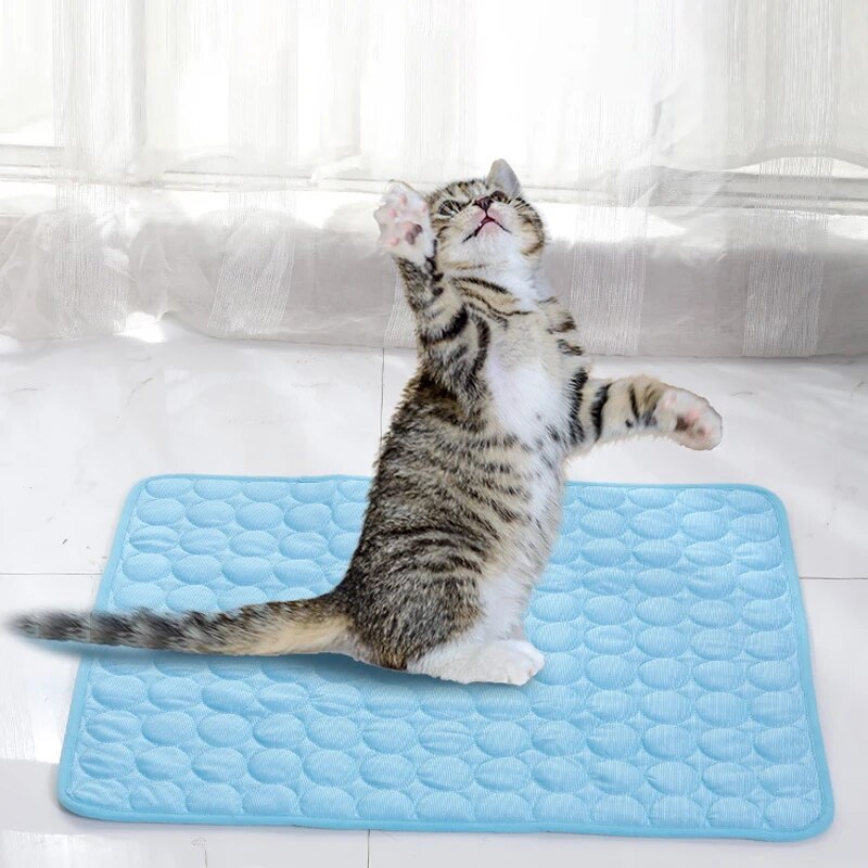 Haustier-Eismatten, Sommer, Ka – Dog Cooling Mat Bewertung und Preis
