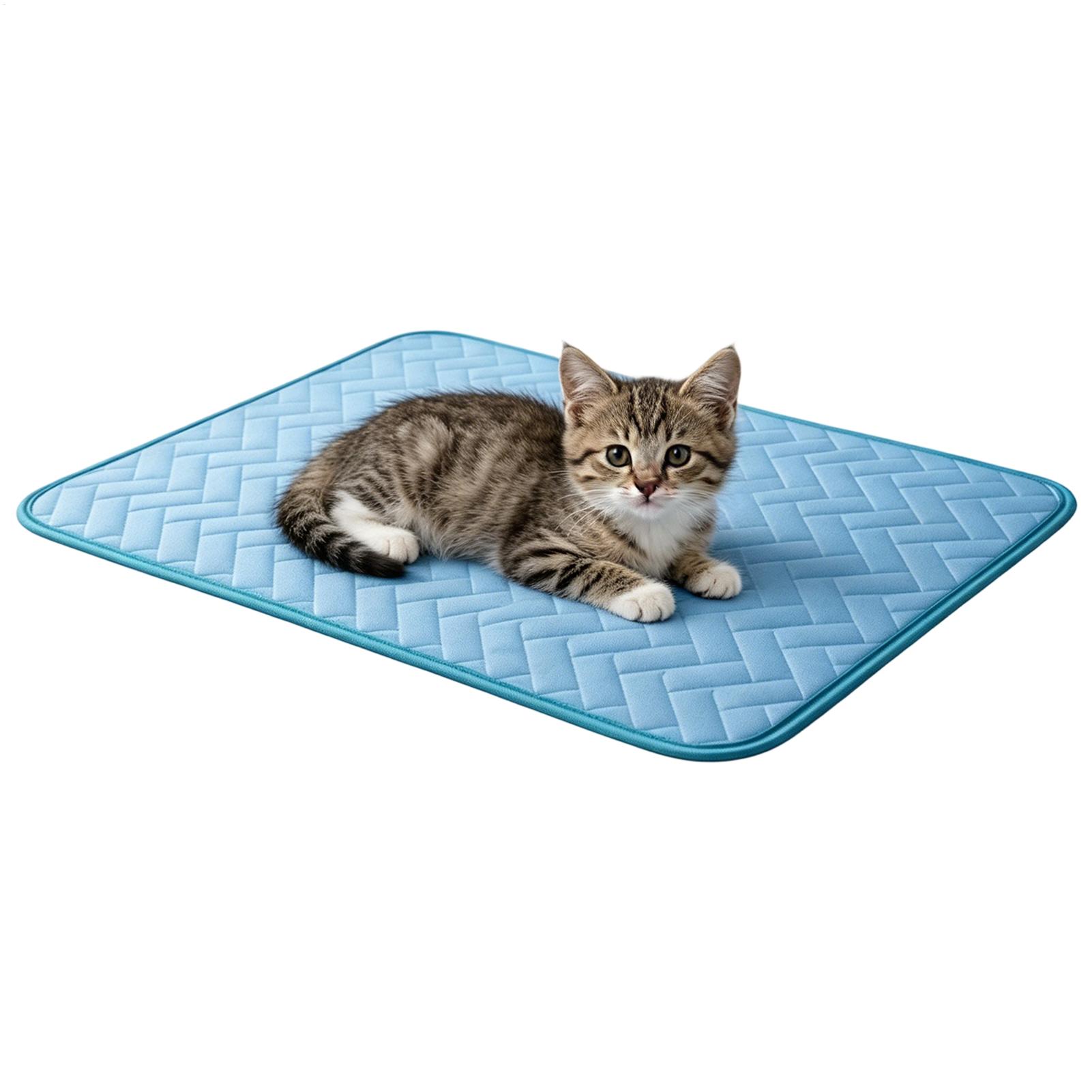 Hunde-Kühlmatte Haustier-Kühlu – Dog Cooling Mat Bewertung und Preis