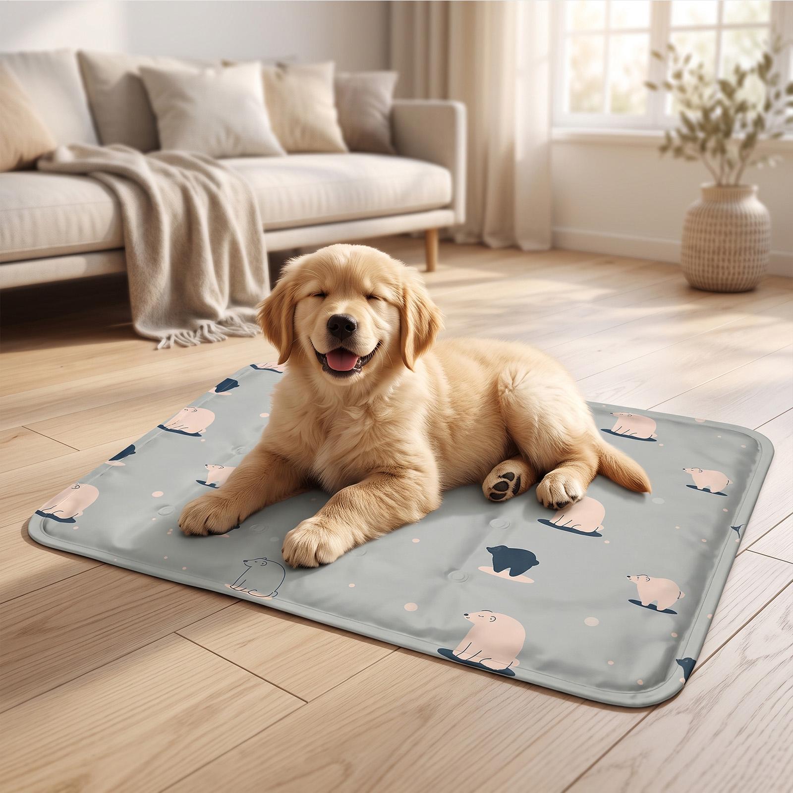 Hundekühlmatte 40x30cm, Schlaf – Dog Cooling Mat Bewertung und Preis