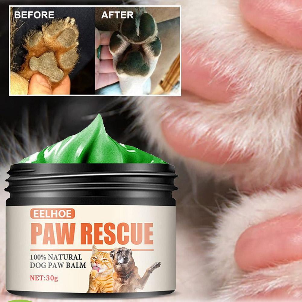 Haustier Pfote Creme Hund Katz – Dog Paw Cleaner Bewertung und Preis