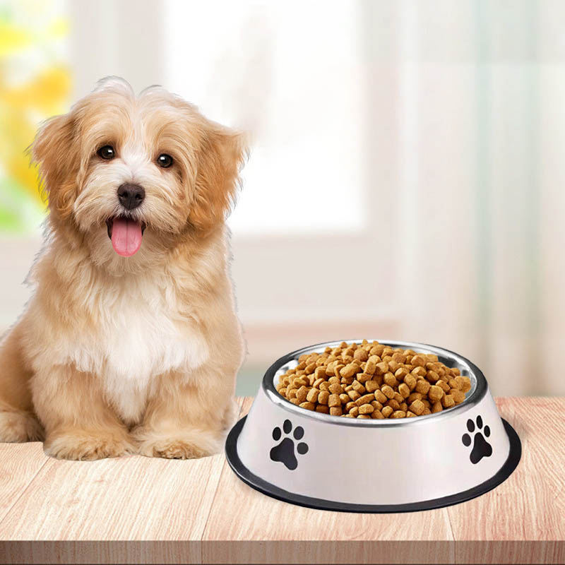 Edelstahl-Futternapf mit große – Pet Supplies Is Food Bewertung und Preis