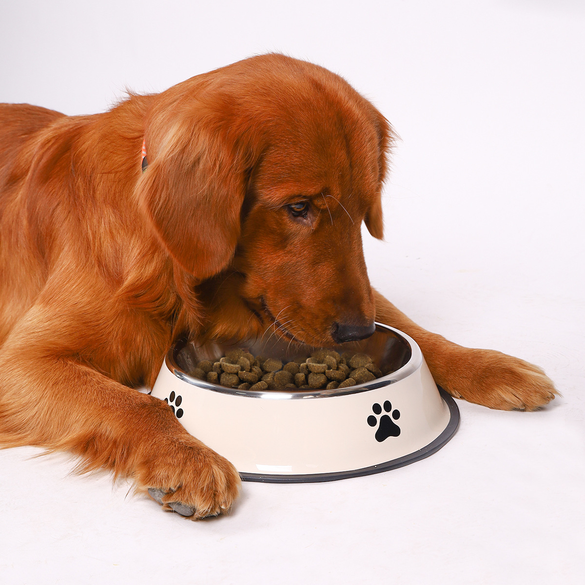 Edelstahl-Futternapf mit große – Pet Supplies Is Food Bewertung und Preis