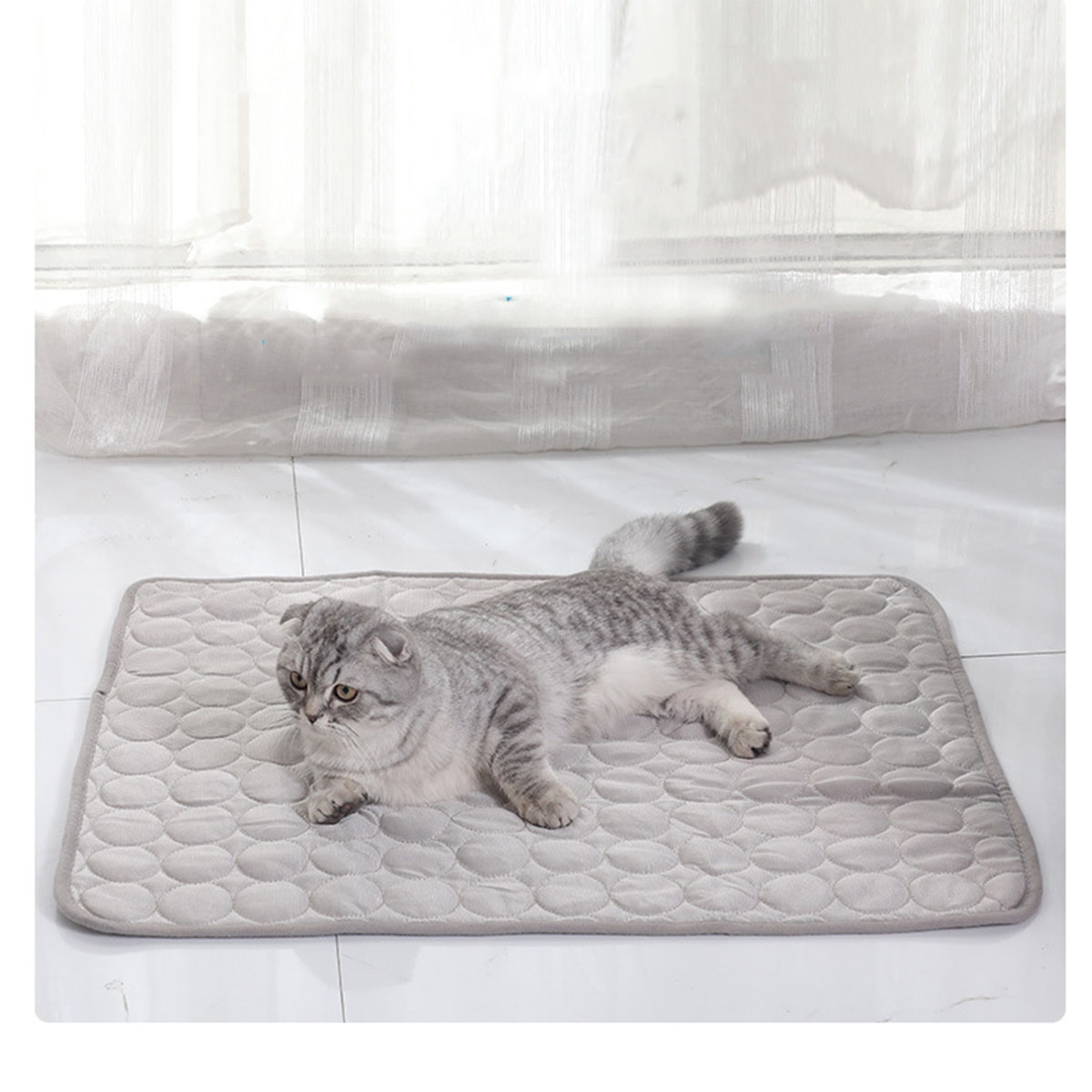 Haustier-Kühlmatte für den Som – Dog Cooling Mat Bewertung und Preis