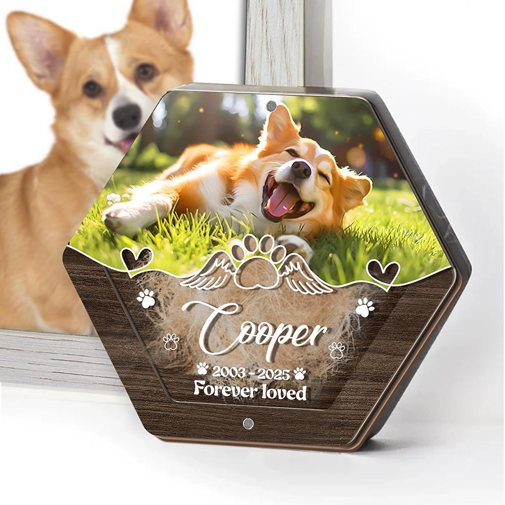 Personalisierte Name Holzschni – Pet Supplies Discount Bewertung und Preis