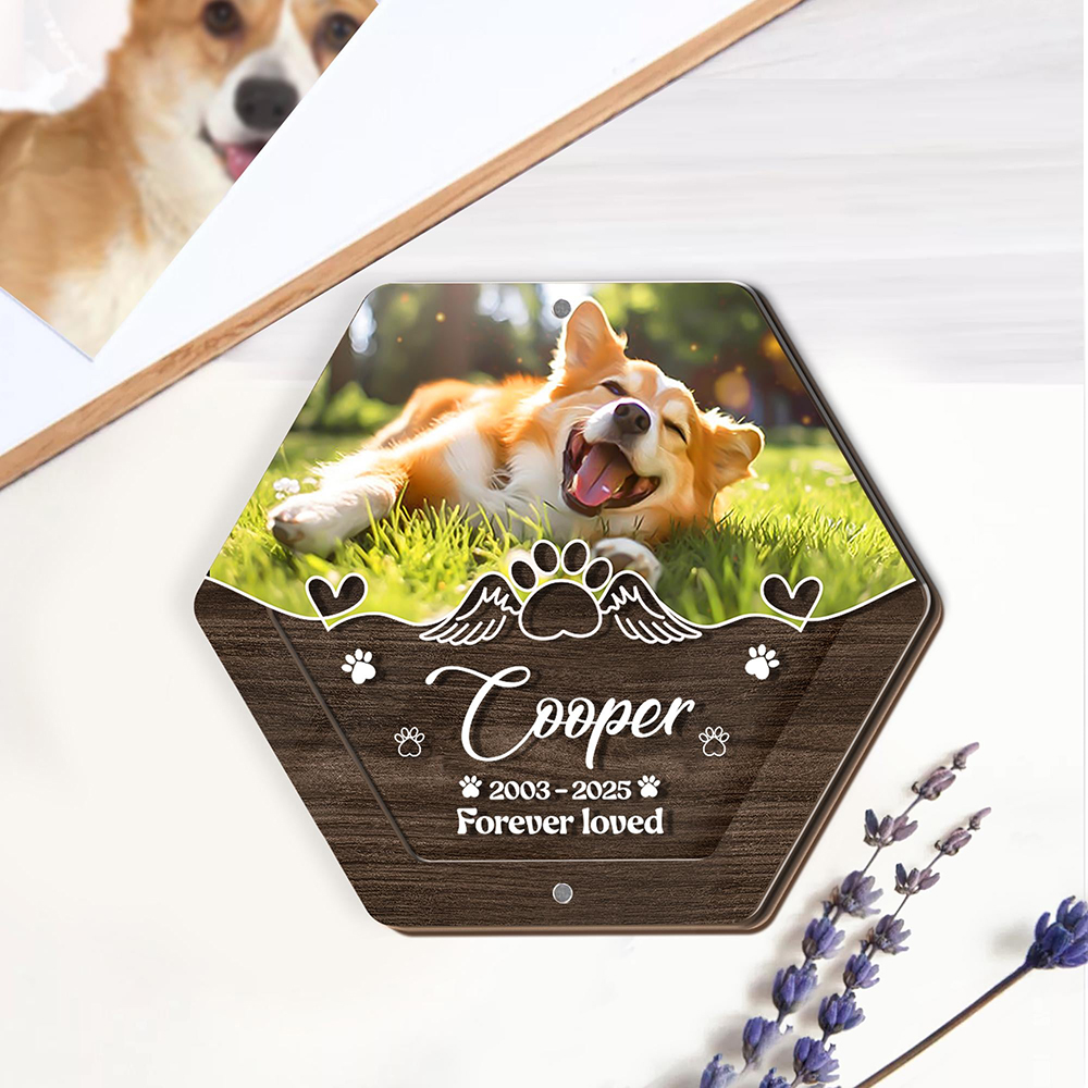 Personalisierte Name Holzschni – Pet Supplies Discount Bewertung und Preis