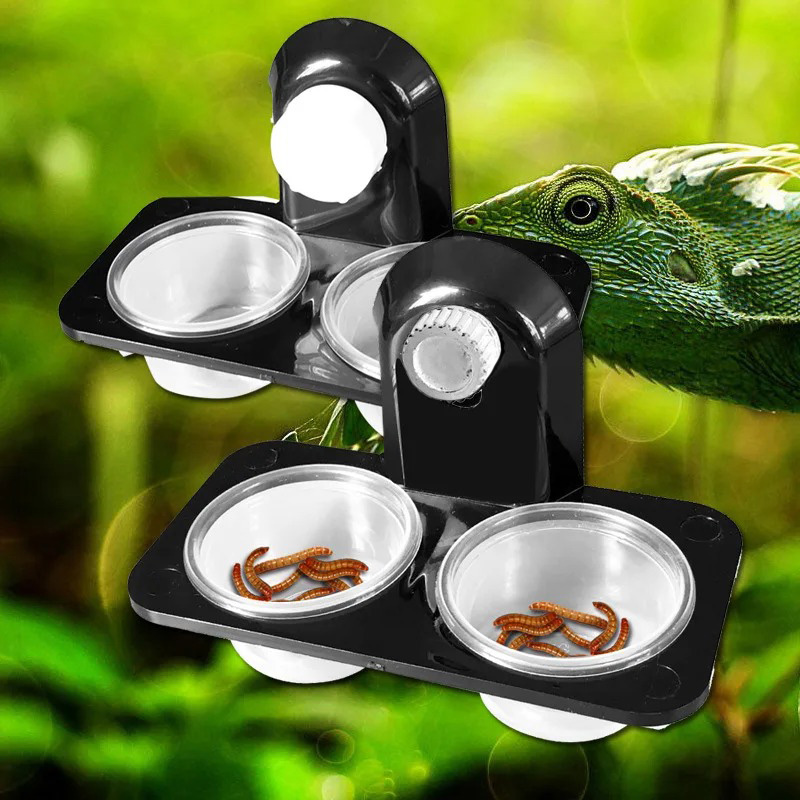 Reptilien Tank Zubehör Insekt  – Pet Supplies Is Food Bewertung und Preis