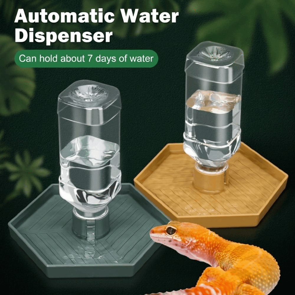 Fütterungszubehör Automatische – Pet Supplies Is Food Bewertung und Preis