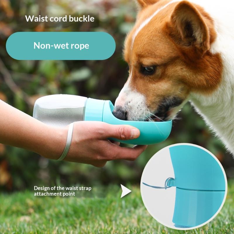Tragbare Wasserflasche für gro – Royal Canin Food Medium Bewertung und Preis