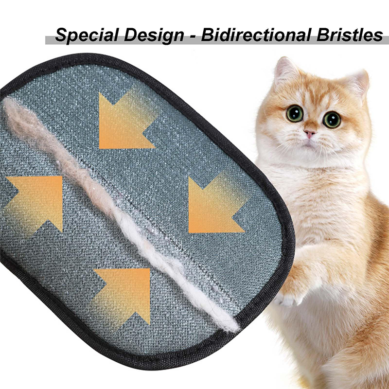 Neuer elektrostatischer Tierpf – Pet Supplies Discount Bewertung und Preis