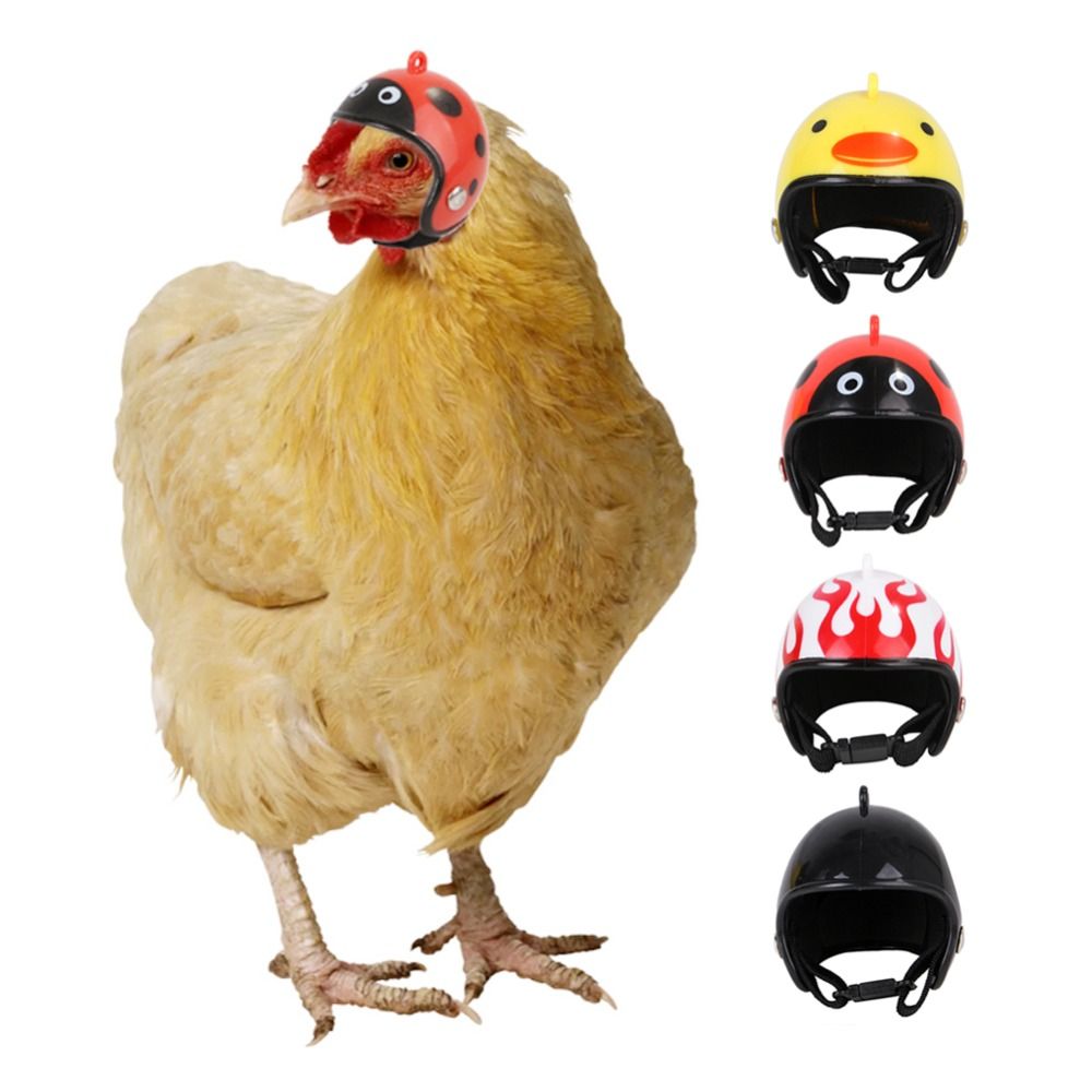 ABS Haustierzubehör Lustiger S – Pet X Supplies & Tack Reviews Bewertung und Preis