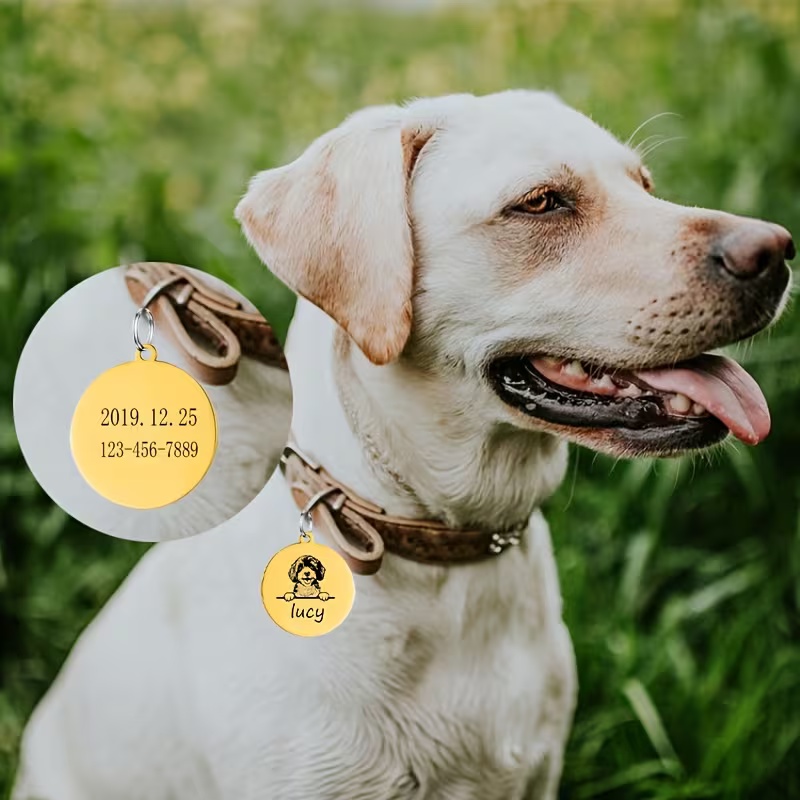 Personalisierte Haustier-Namen – Pet Supplies Discount Bewertung und Preis