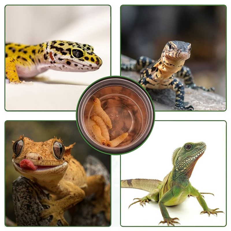 Futter- und Wassernäpfe für Kr – Pet Supplies Is Food Bewertung und Preis