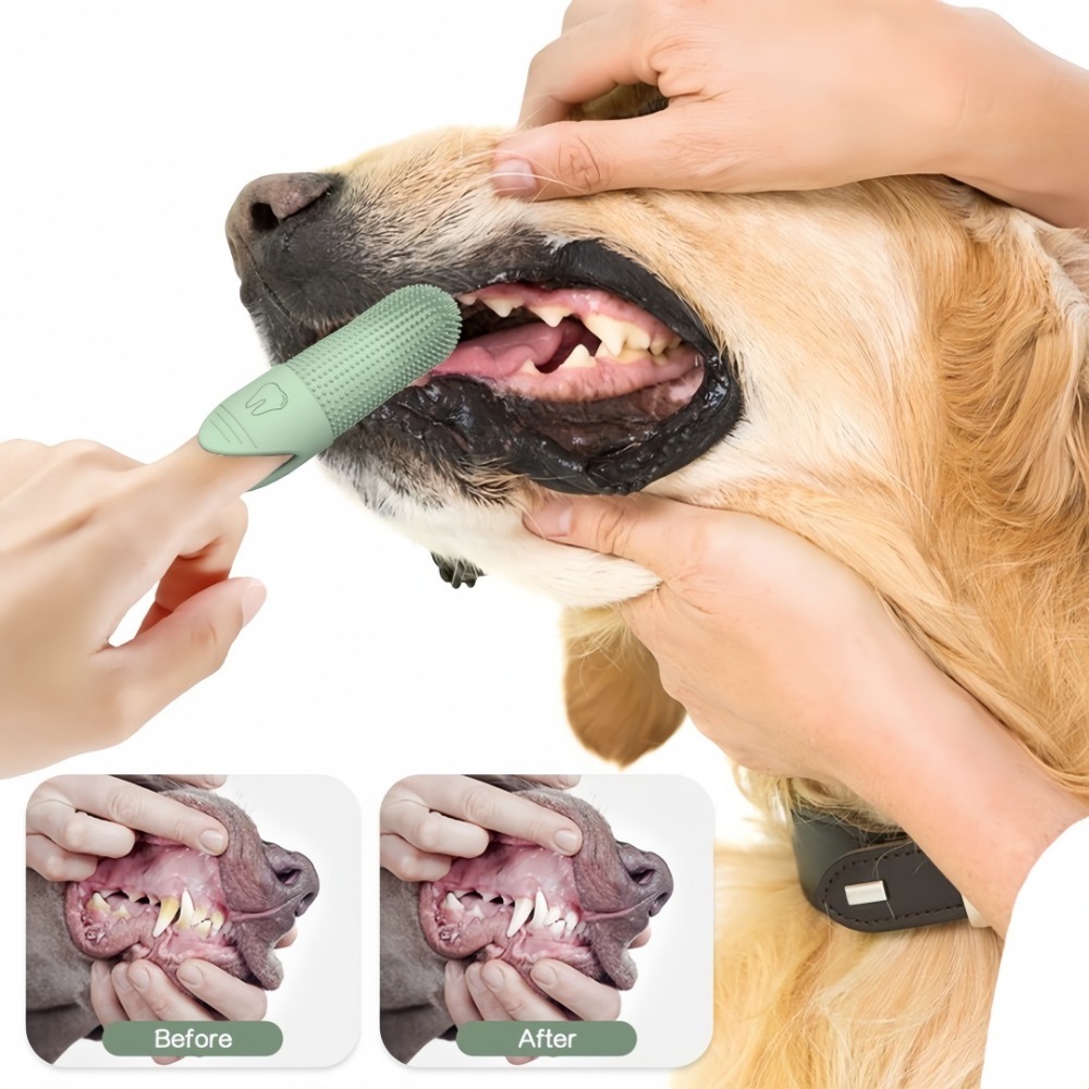 360 °   Haustier-Reinigungsfin – Pet Supplies Is Food Bewertung und Preis