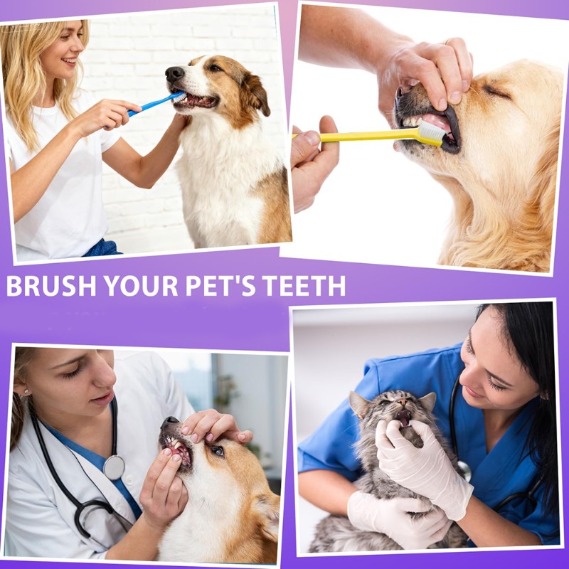 AB66-Hund Mundhygiene-Werkzeug – Dog Paw Cleaner Bewertung und Preis